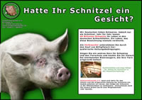 Schweine-Plakat 1